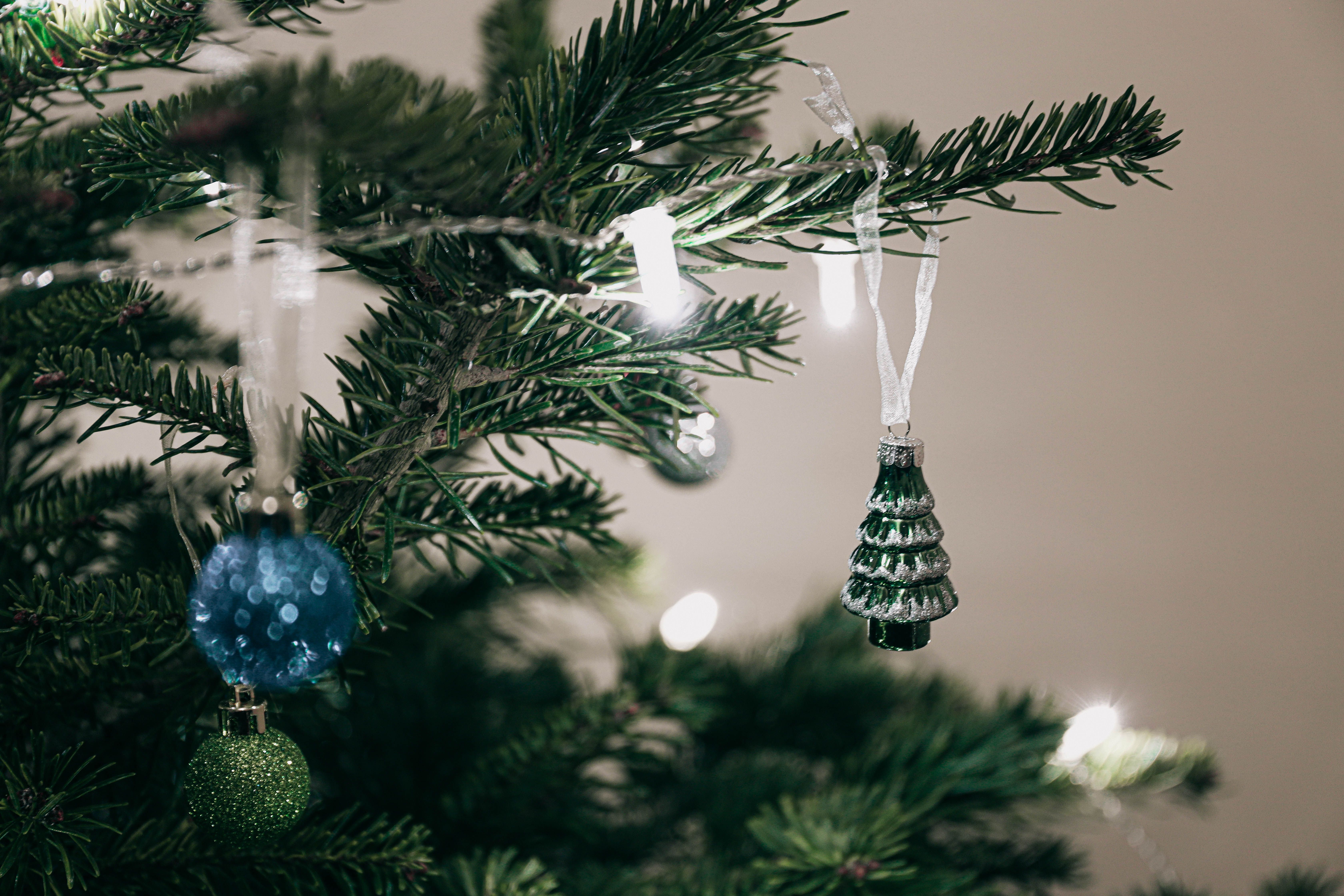 Sapin naturel Nordmann installé dans un hall d'accueil d'entreprise